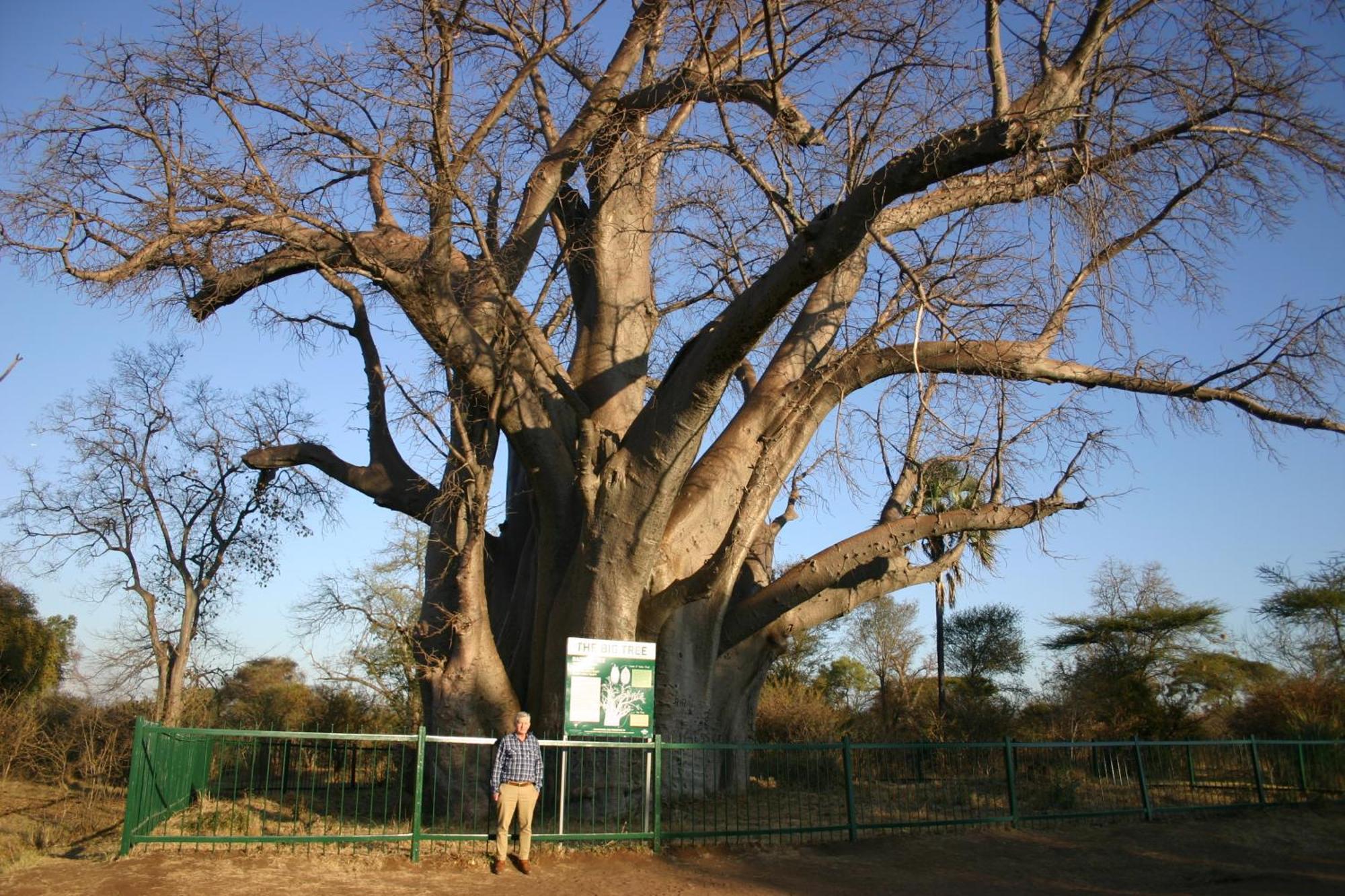 Room In Villa - Zambezi Family Lodge - Elephant Room 维多利亚瀑布 外观 照片
